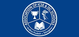 Owl Image